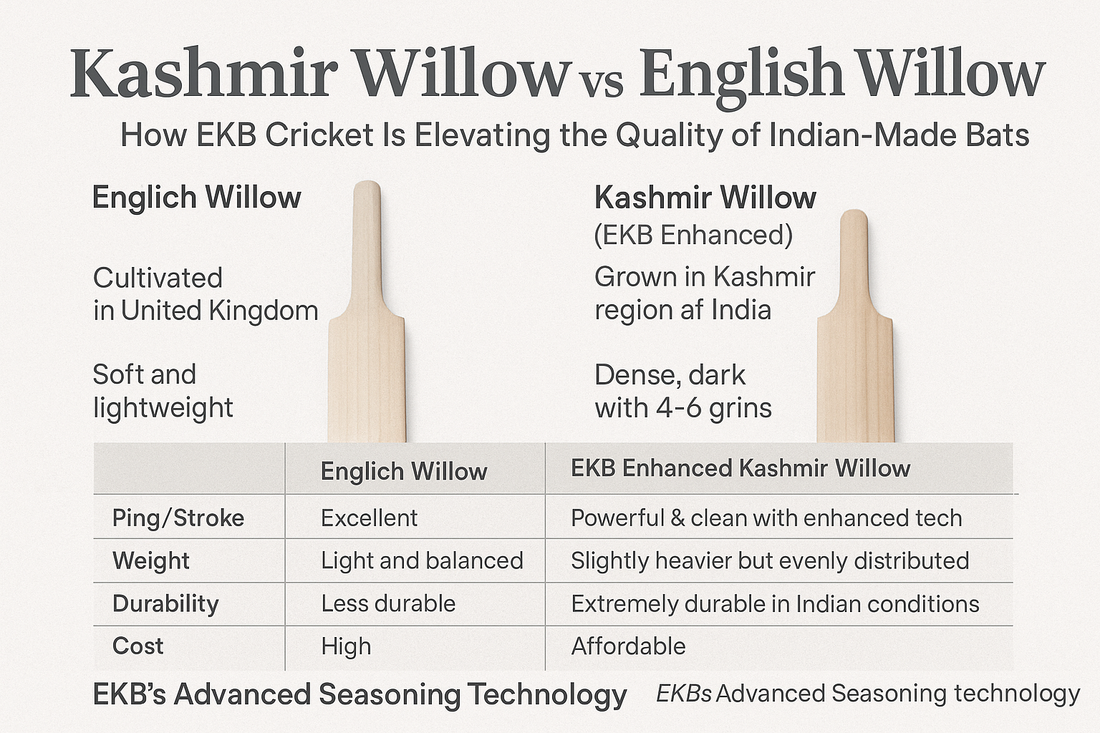 Kashmir Willow vs English Willow: The Evolution of Kashmir Willow Bats